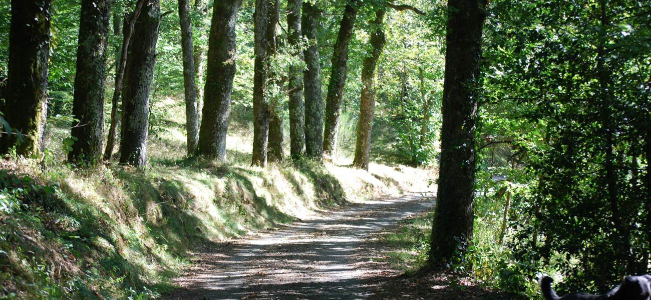 partons en balade sur le chemin des Fantaisies au ranch des Lacs