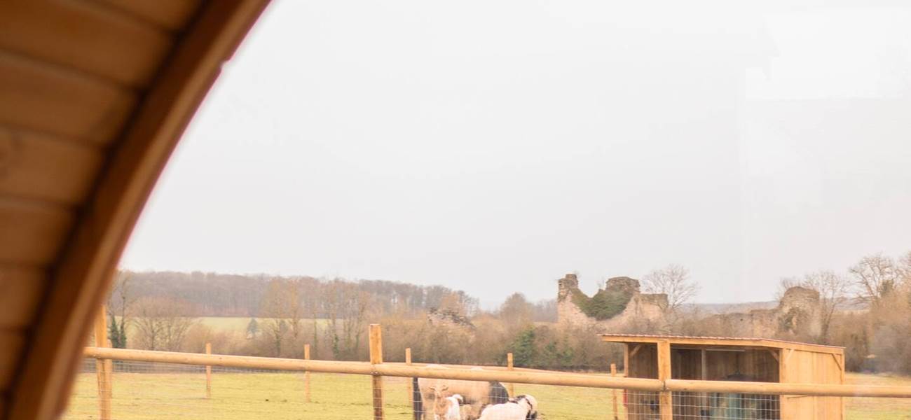 Au milieu de la nature