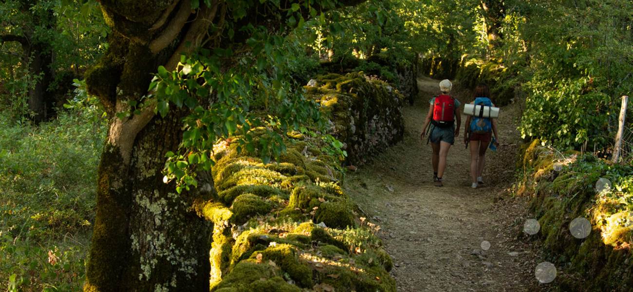 Randonnée sur les sentiers du Causse @MalikaTurin