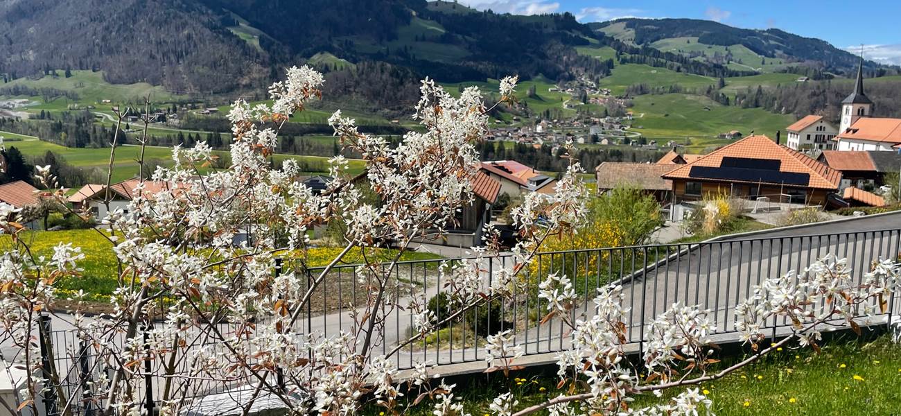Le jardin et l'église