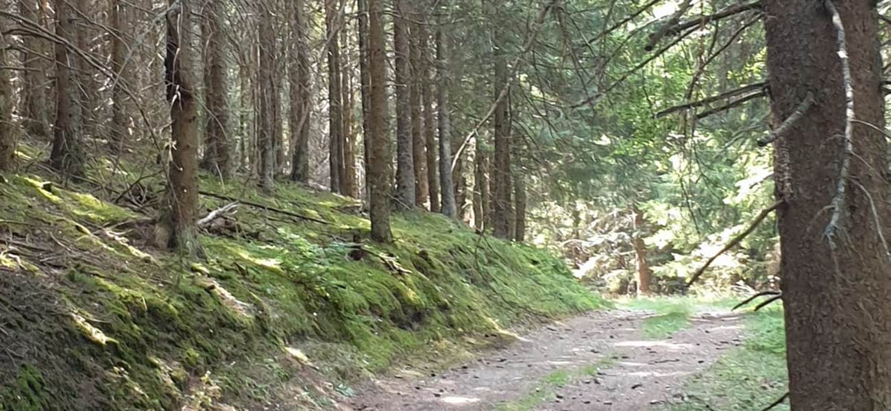 CHEMIN DE RANDONNEE 1