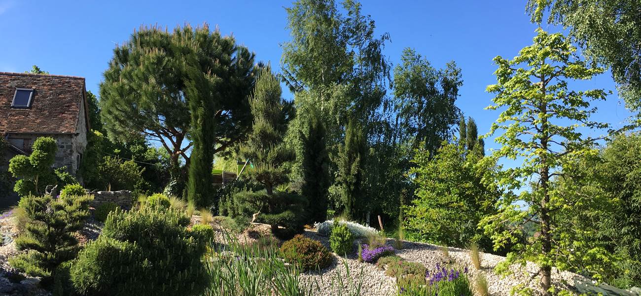 jardin printemps