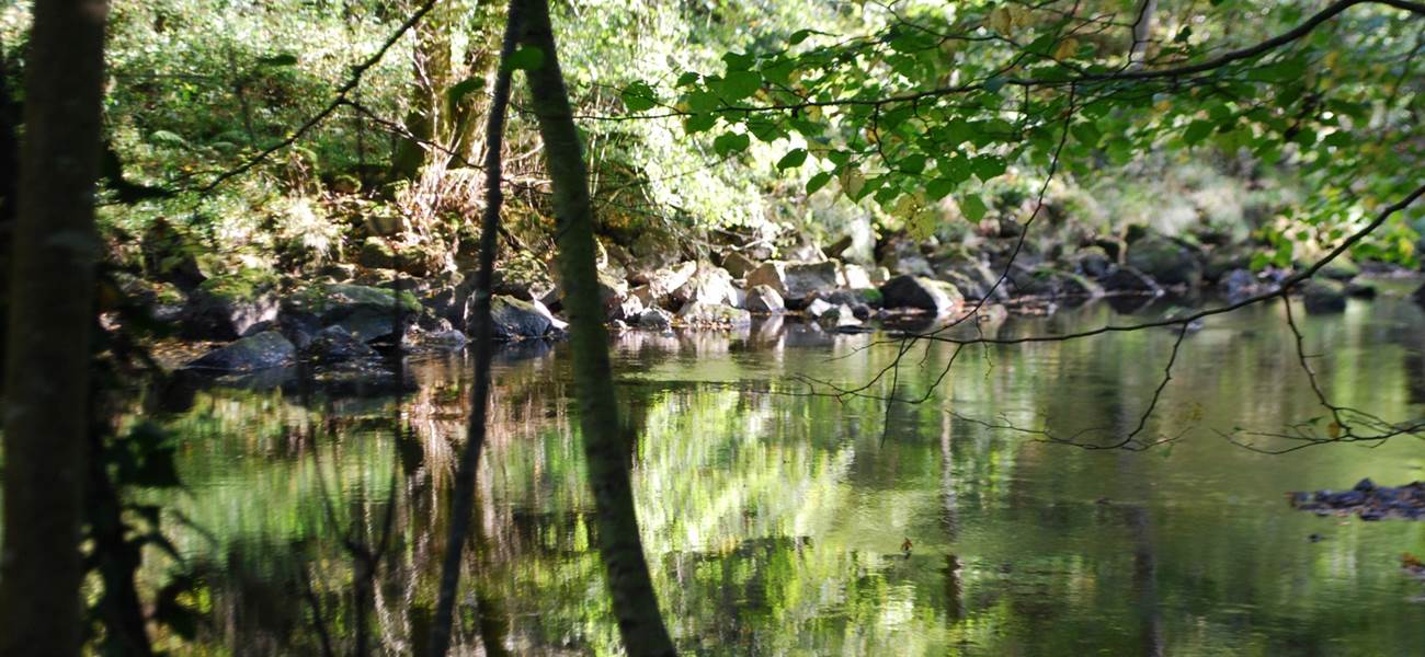 la Vienne à La Lérisse  20' à pied du Ranch des Lacs Hébergement Parc Naturel régional de Millevaches
