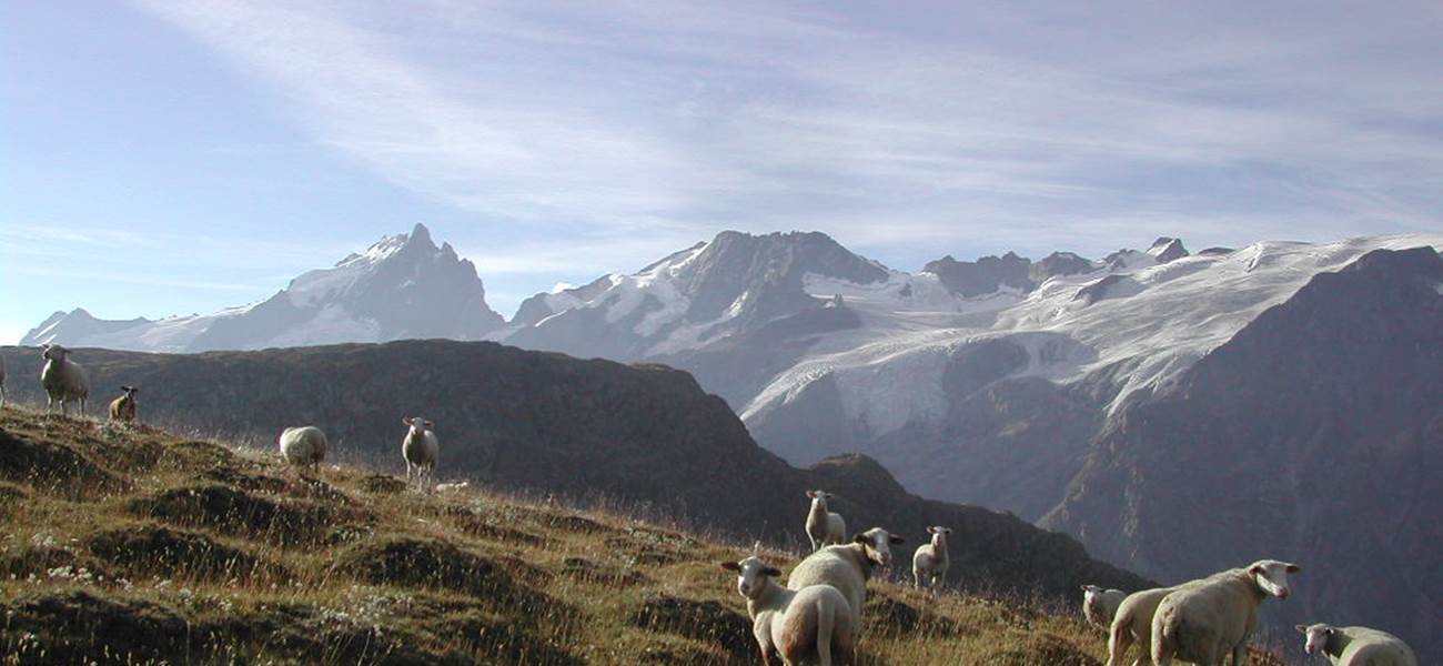 Vers le Plateau d'Emparis 2450 m.