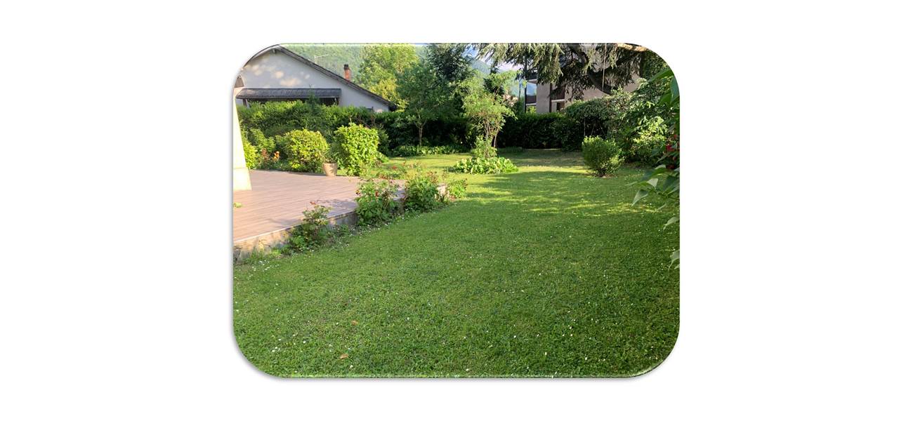 Jardin3 fond blanc