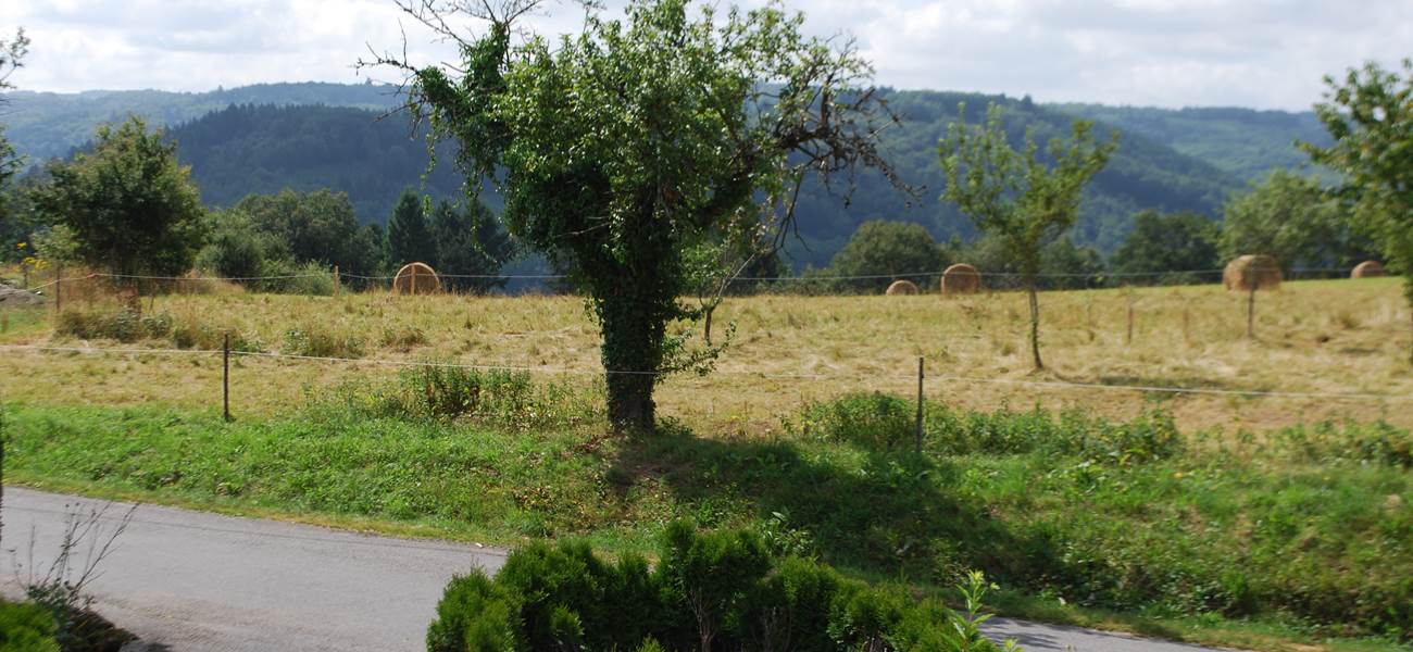 saison des foins, paysage campagnard, vue devant Le Ranch des Lacs