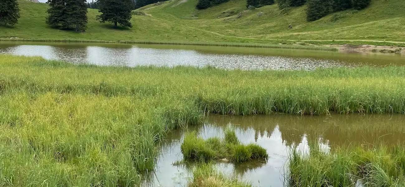 79759081-6a0a-4124-ad69-4f9213e2a6de