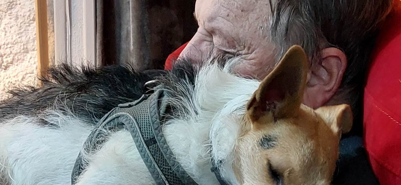 Pet-Friendly au Ranch des Lacs, Jules et Yummy