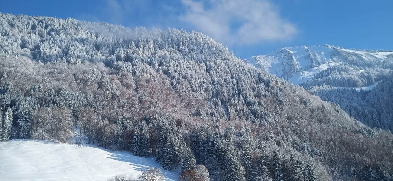 Estavannens_neige_hiver_en_Suisse_montagne_vacances_nature_couple