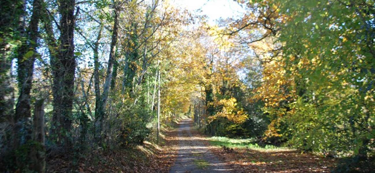 balade en novembre au départ du Ranch des Lacs Hotel à la campagne