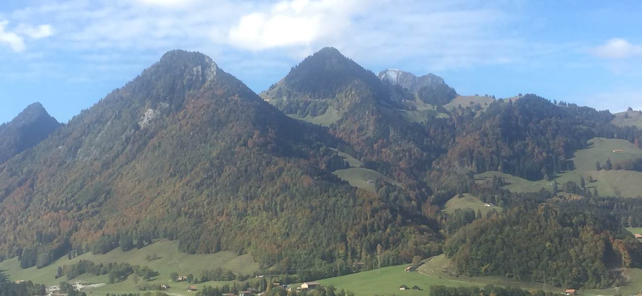 Couleurs d'automne et Moleson