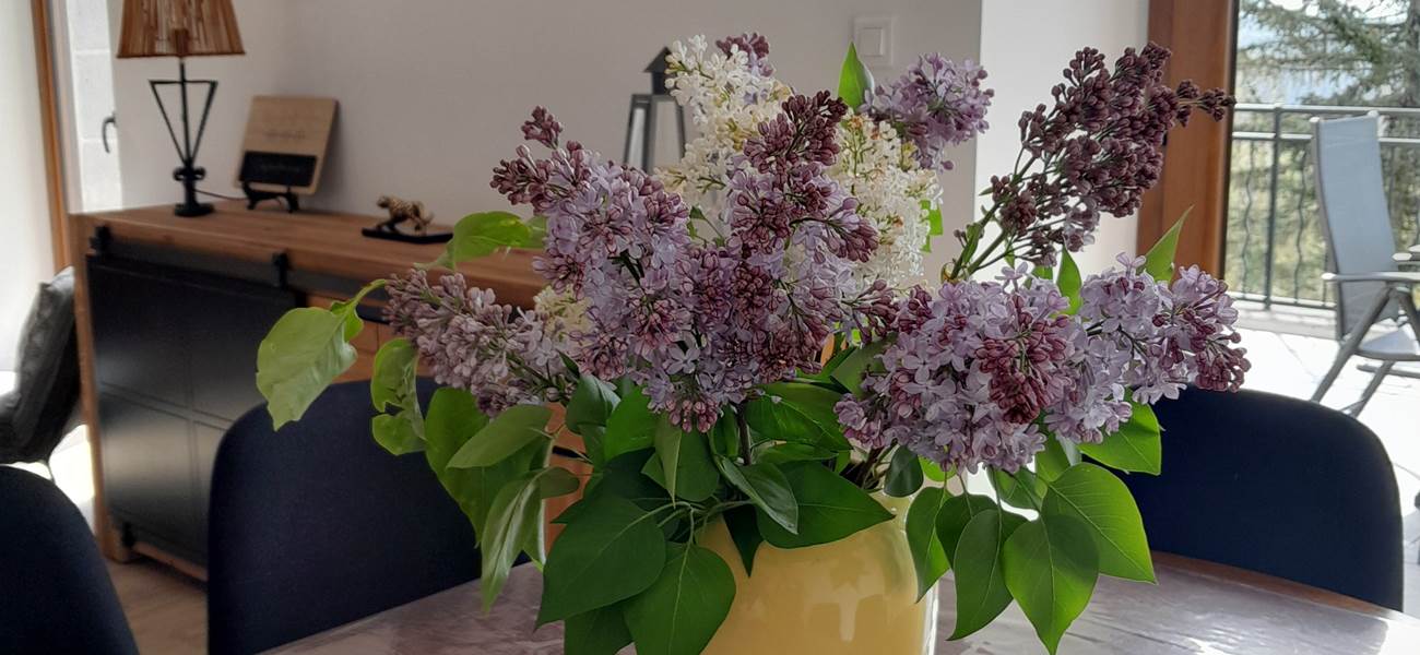 Printemps au gîte