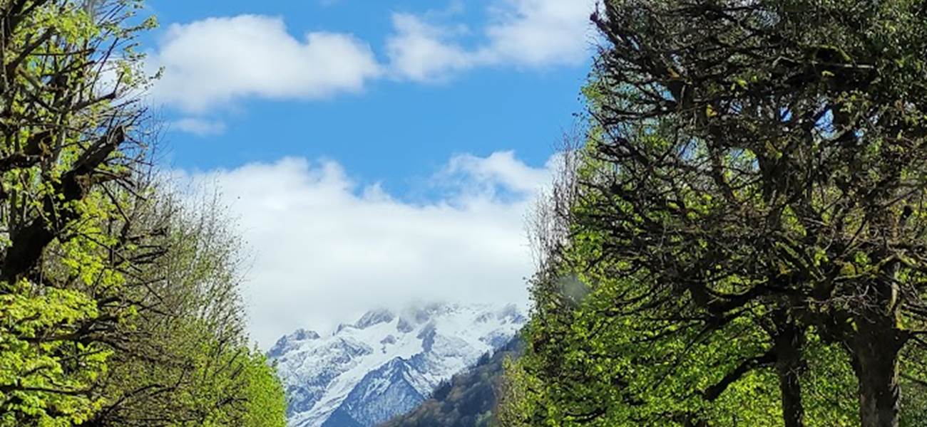 Allée principale Luchon