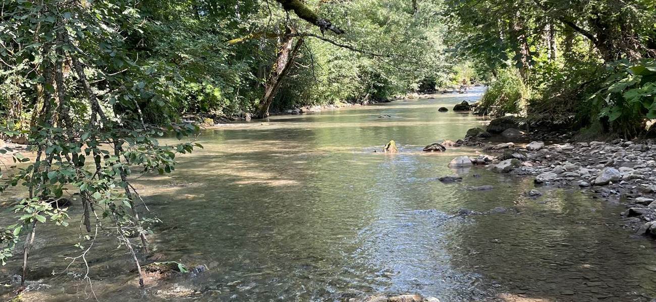 Chemin de randonnées