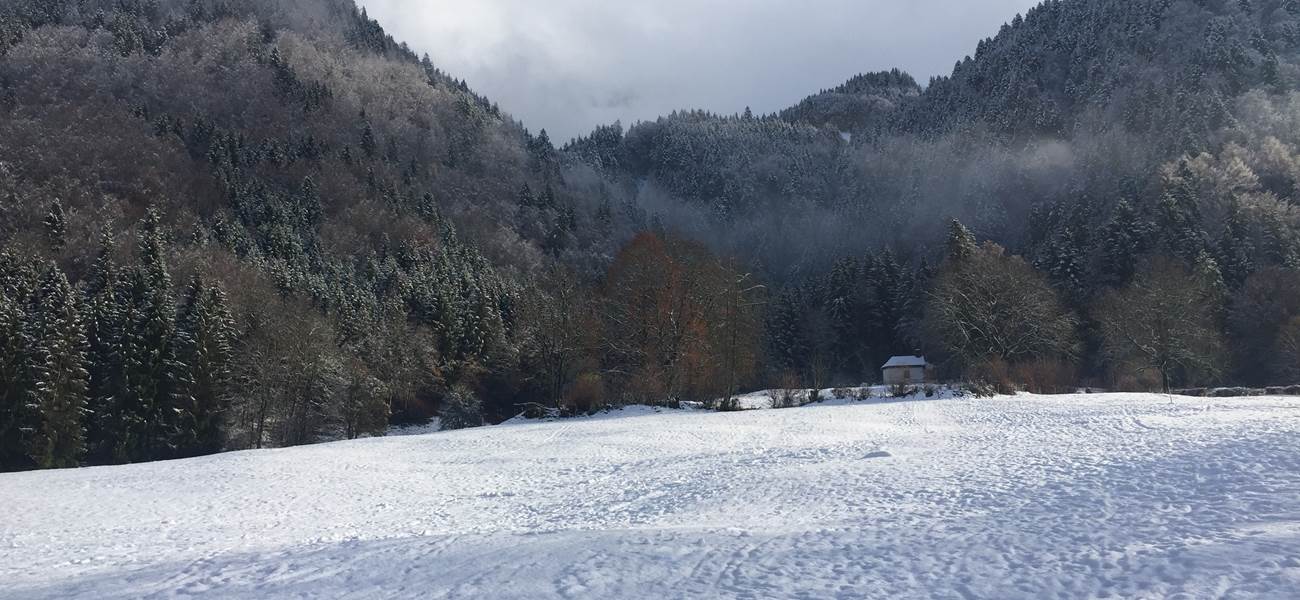 panorama-hiver-neige-gruyere-weekend-nature-montagne-suisse