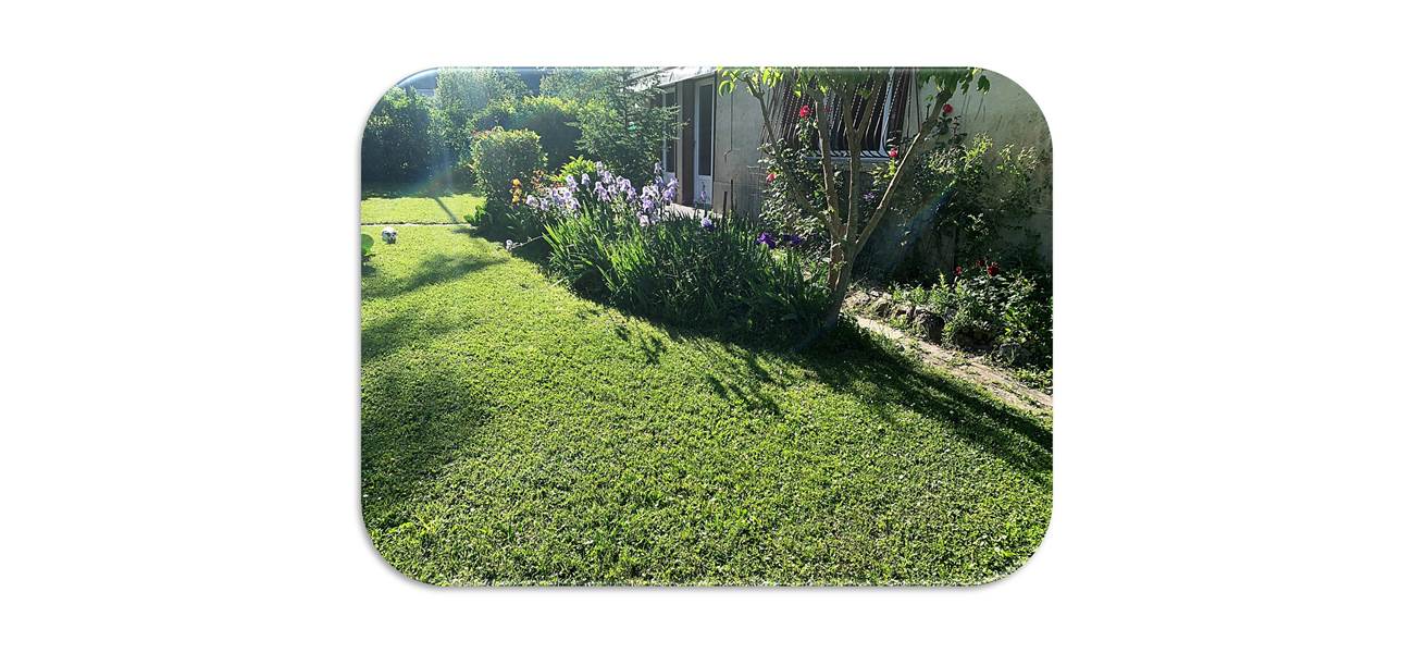 Terrasse Iris fond blanc