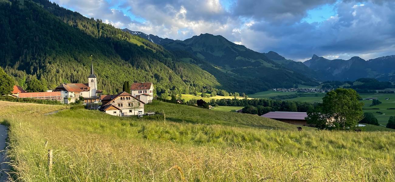 Champs autour de l'église d'Estavannens en juin