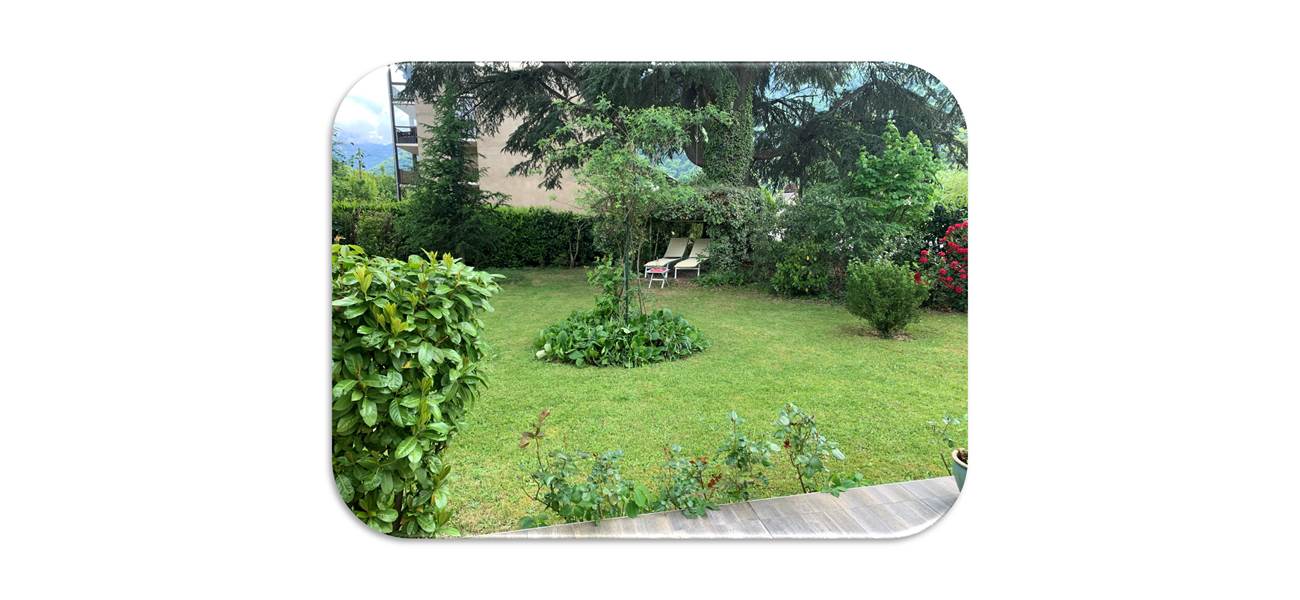 Jardin2 fond blanc
