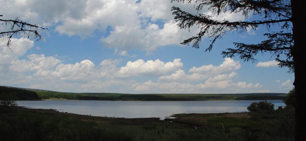 Une vue du lac de Charpal