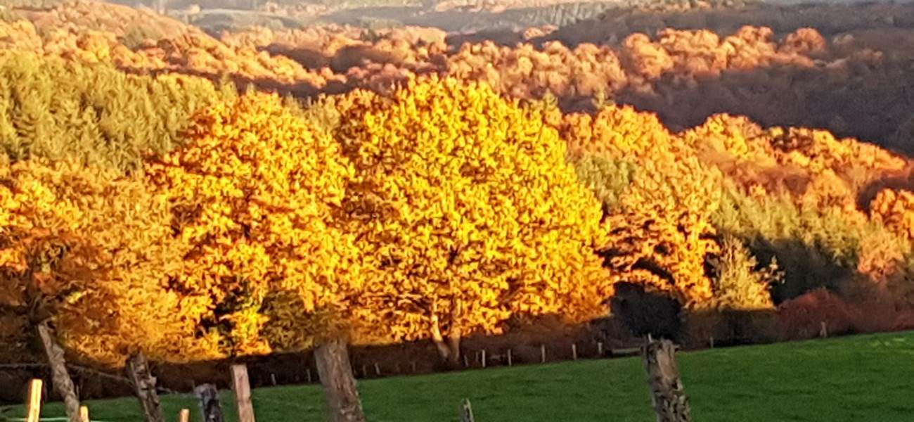 lumières d'automne couché de soleil Le Ranch des Lacs  hotel de charme