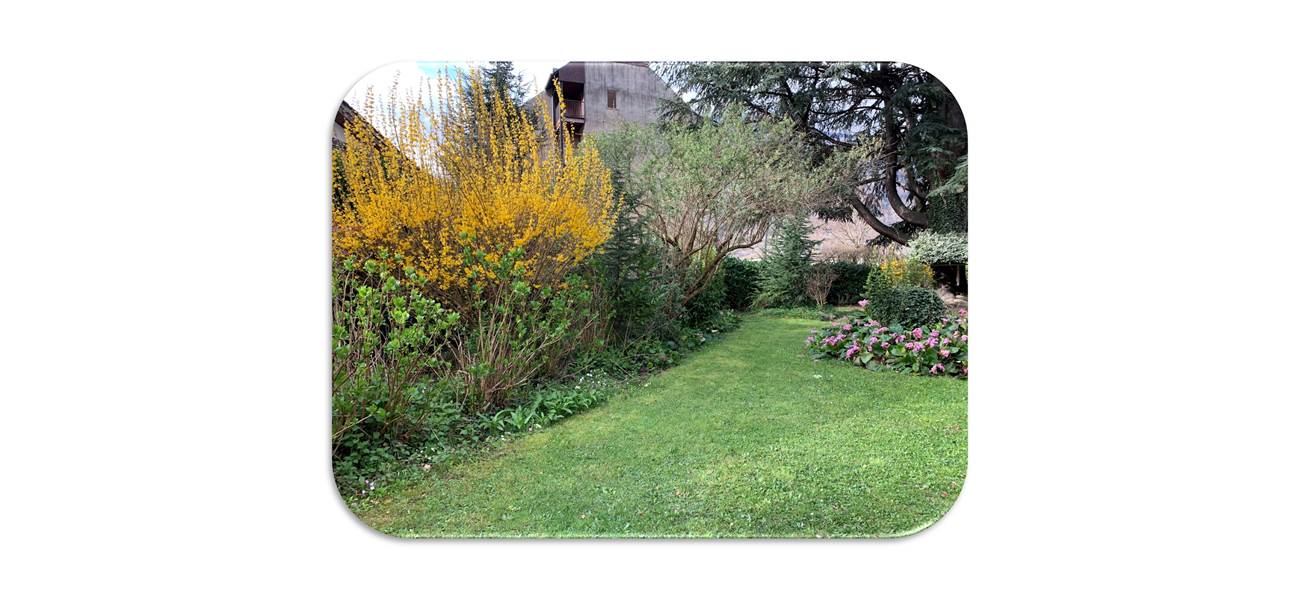 Jardin fond blanc