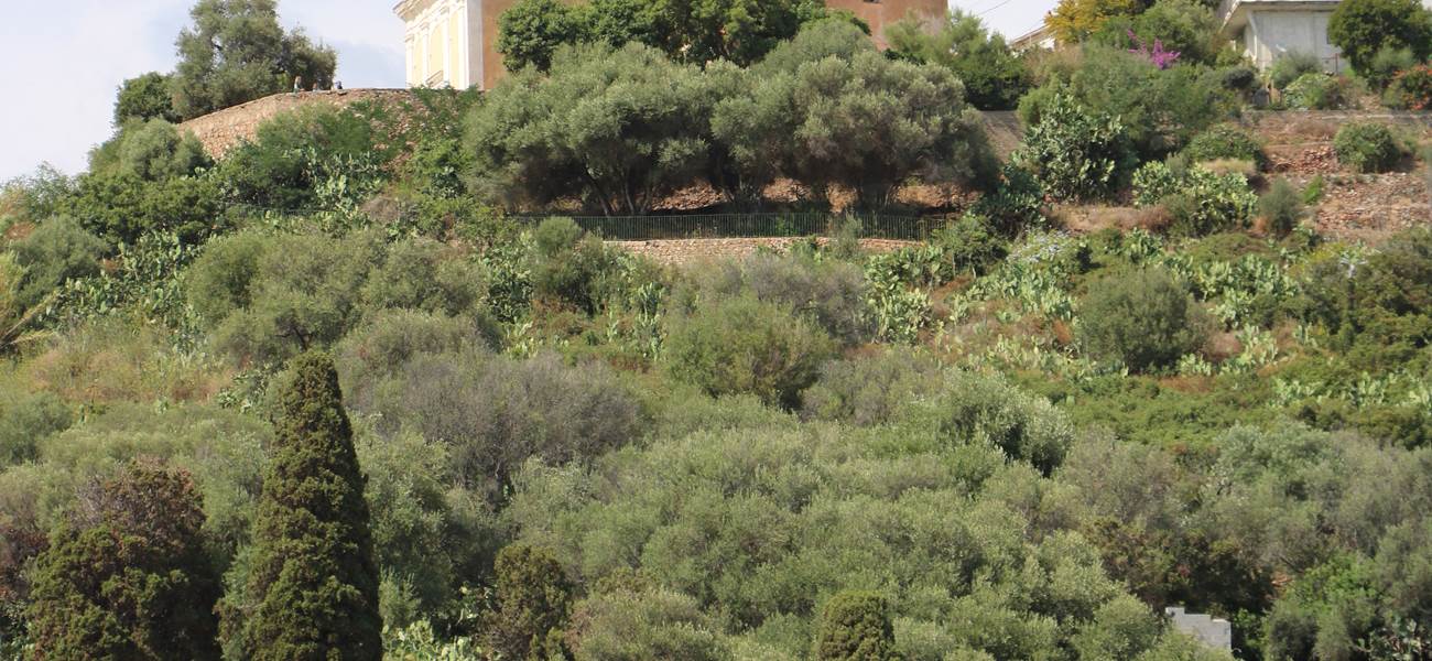 cimetière de Cargèse, Corse