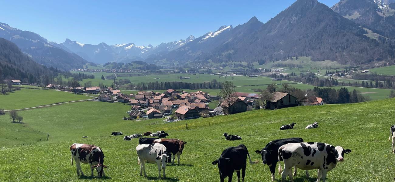 Vue au-dessus de la maison