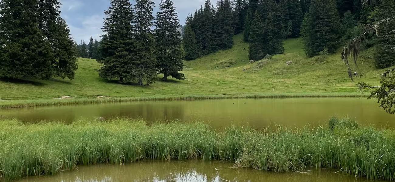 Chemin de randonnées