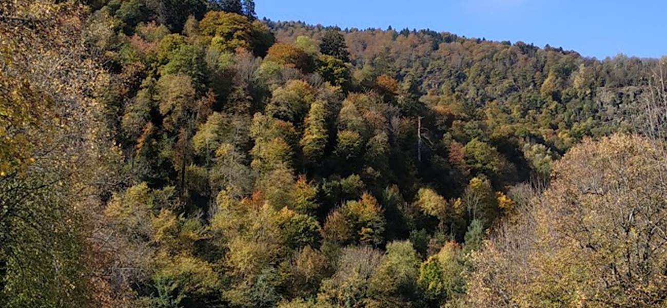 anciennes thermes de Luchon