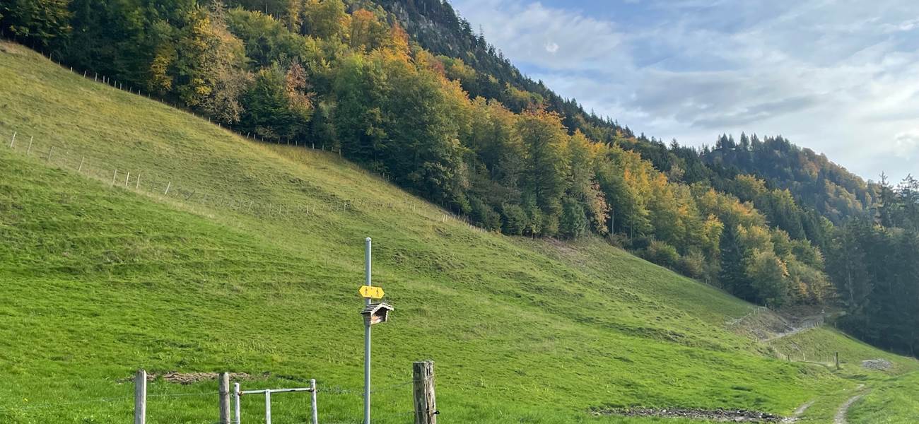 couleurs-automne-promenades-sentiers-montagne-suisse-gruyere-couple-weekend