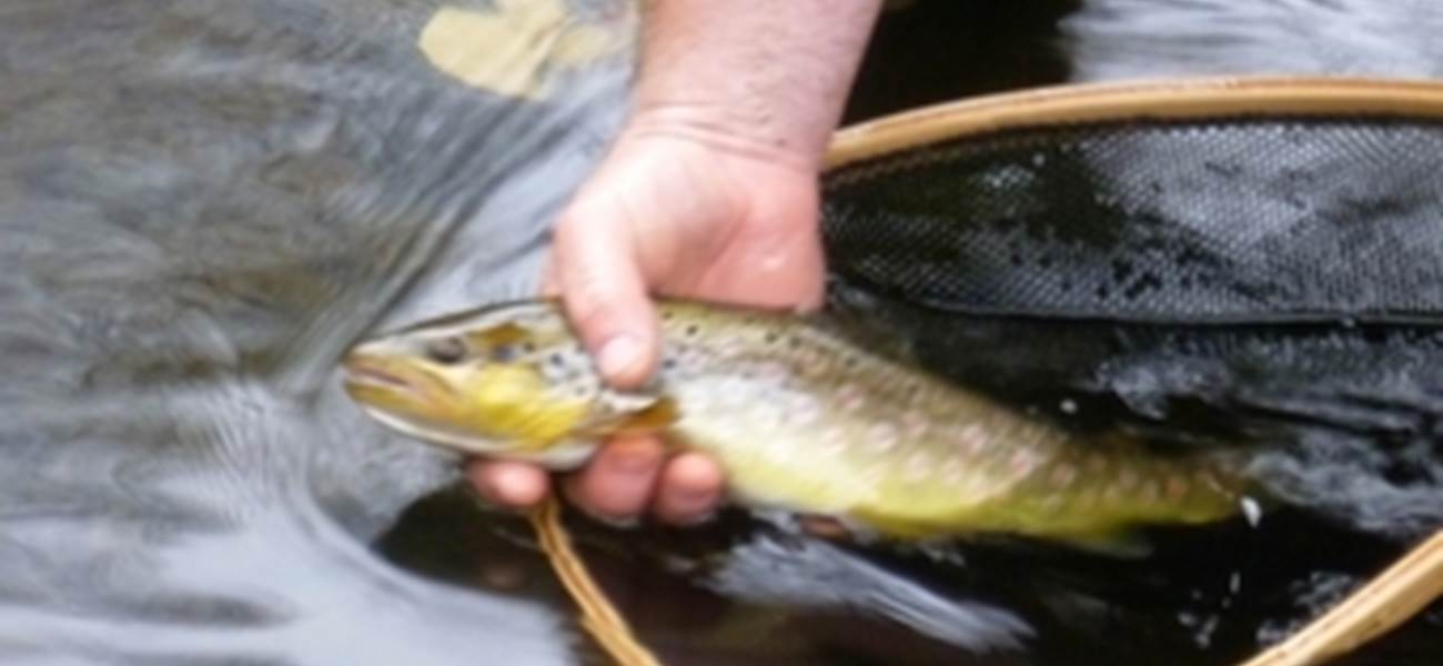 ami pêcheur, le limousin, un pays pour vous pêcheur, hébergement pêche 87120