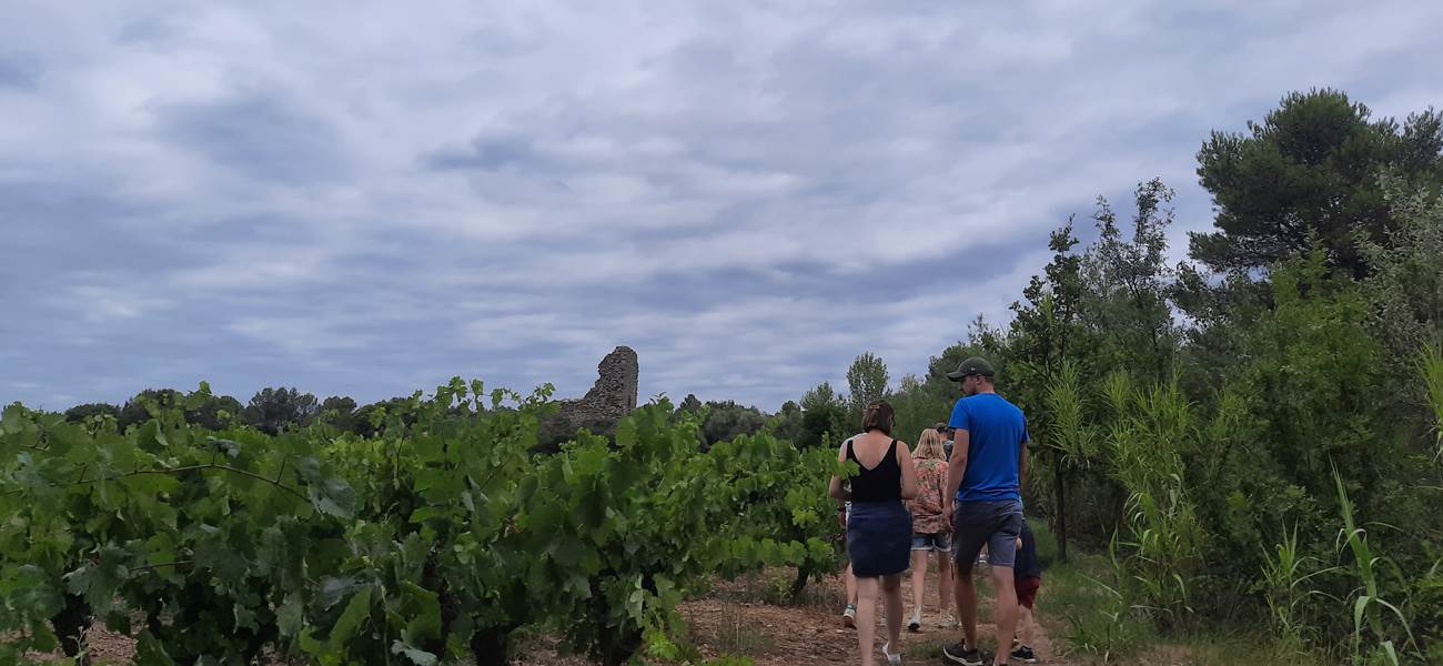 Balade vigneronne Domaine La Tasque