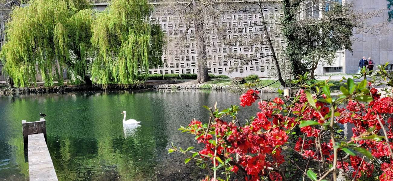 Lac aux thermes de Luchon