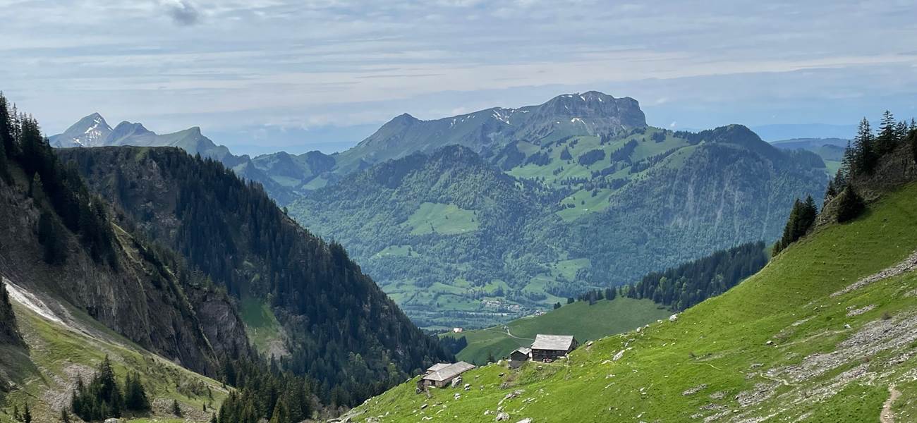 Randonnée proche du studio - vue sur le Moléson depuis Bounavaux