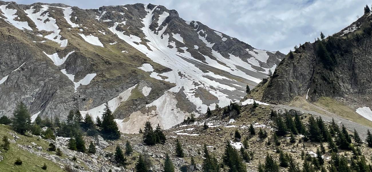 Randonnée proche du studio - le Vanil Noir au printemps