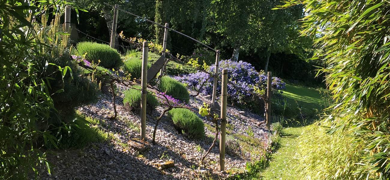 jardin printemps