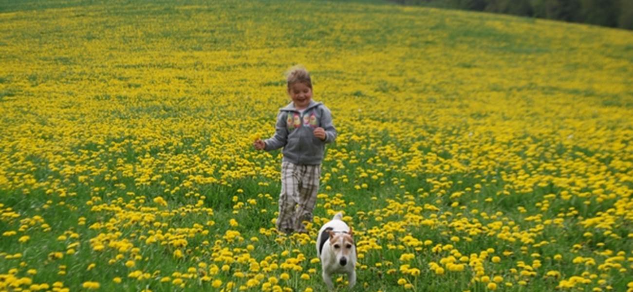 printemps, pissenlits, évasion, la Nature se réveille au Ranch des Lacs