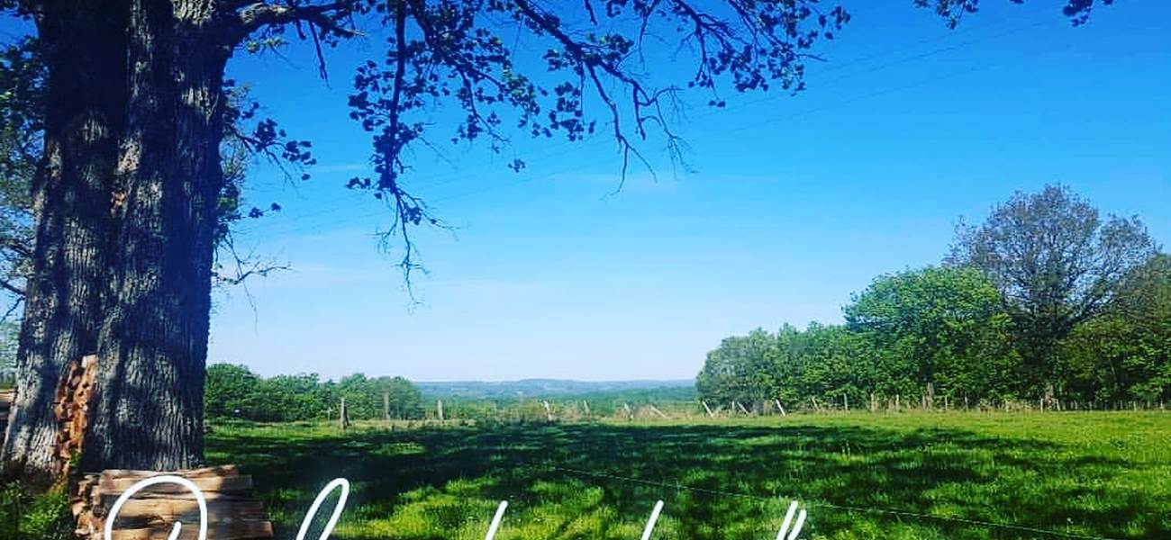 MARS Un bol d'air au Ranch des Lacs