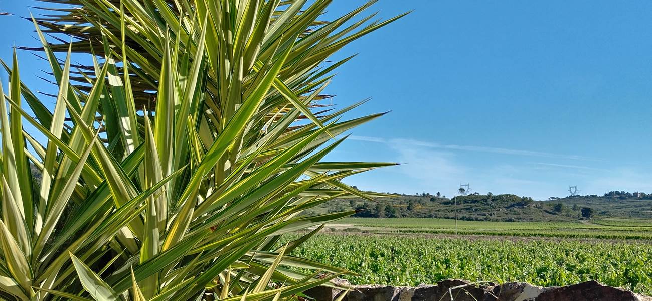 Venez vous détendre au sein de nos chambres d'hôtes et notre gîte