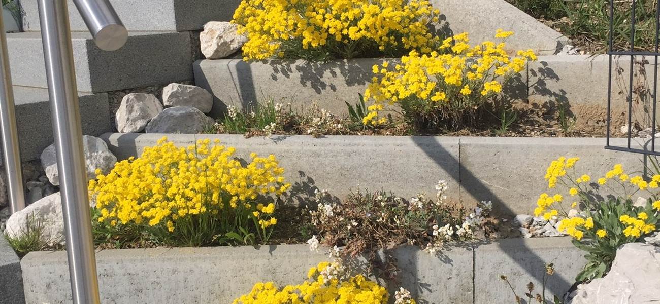 printemps-weekend-romantique-couple-gruyere-detente-calme-paysages-suisse