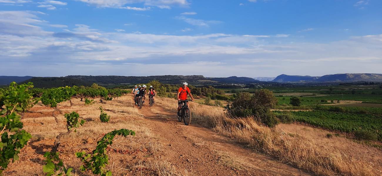 Balade dans les vignes des corbières en vtt électrique