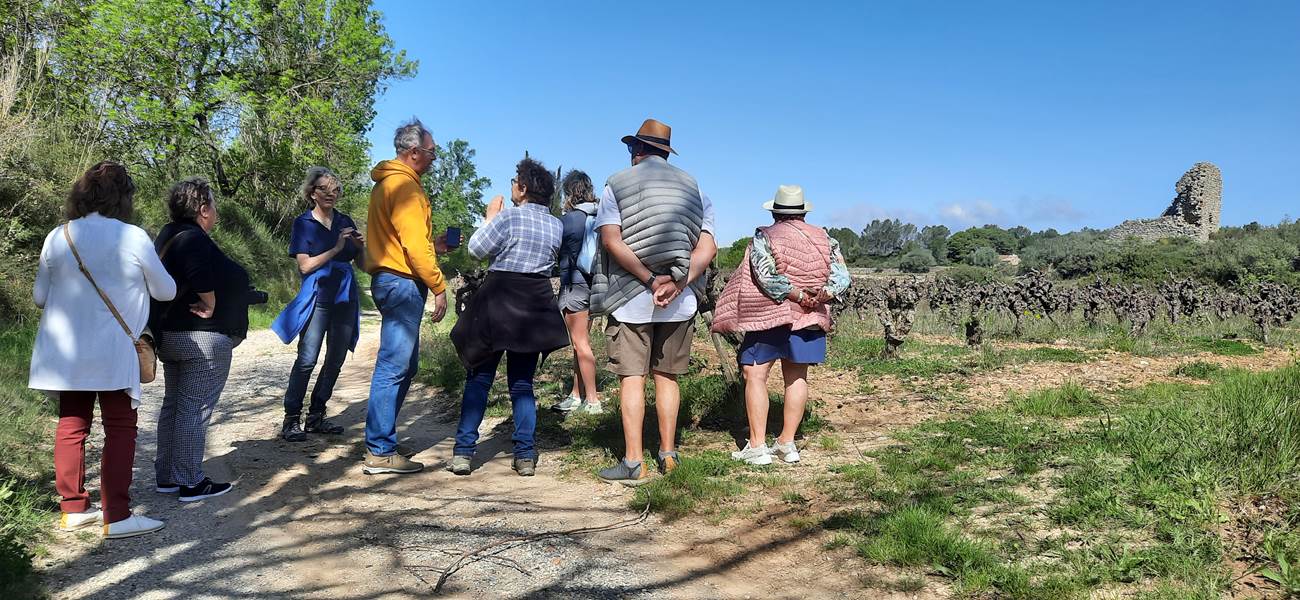 Balade vigneronne avec les vignerons de Mailhac