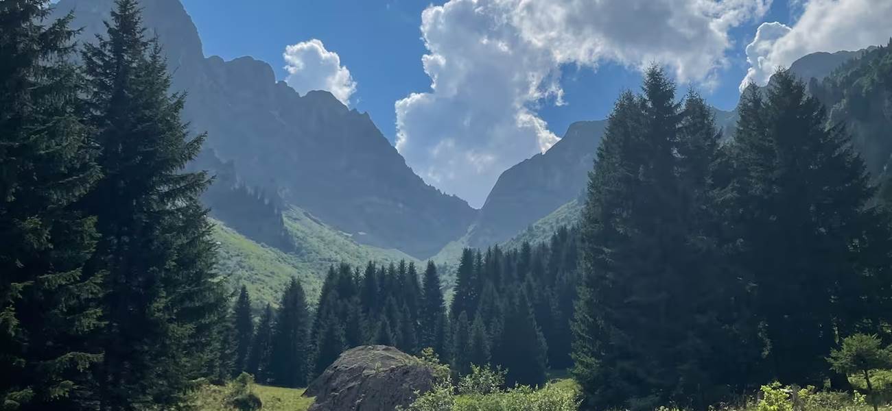 e4e1833a-e623-40e1-976b-65e4eb7f8a9f