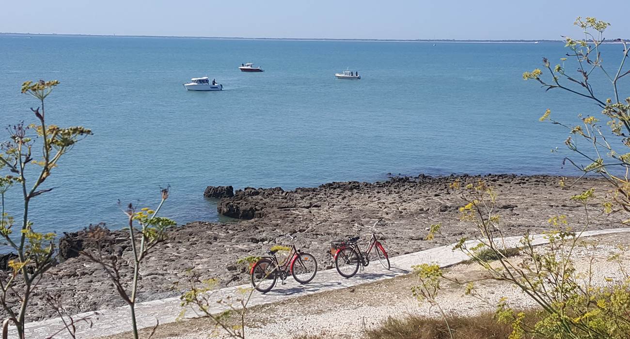 Balade à vélo île d'Aix