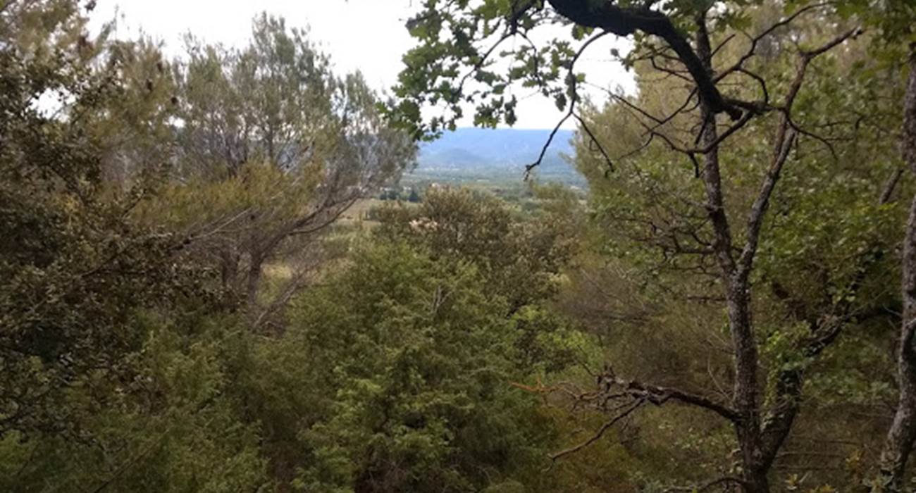 Cabrières d'Avignon