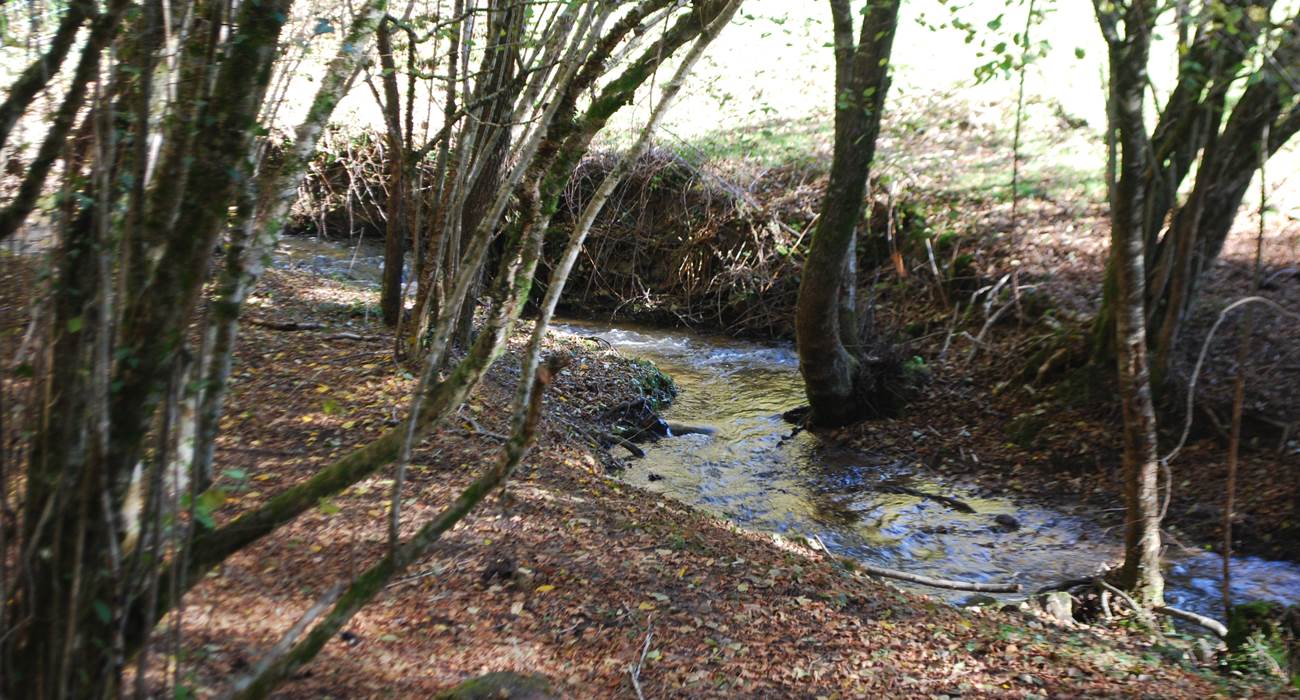 le ruisseaux des fantaisies à 15' à pied du Ranch des Lacs Hotel 87120-page