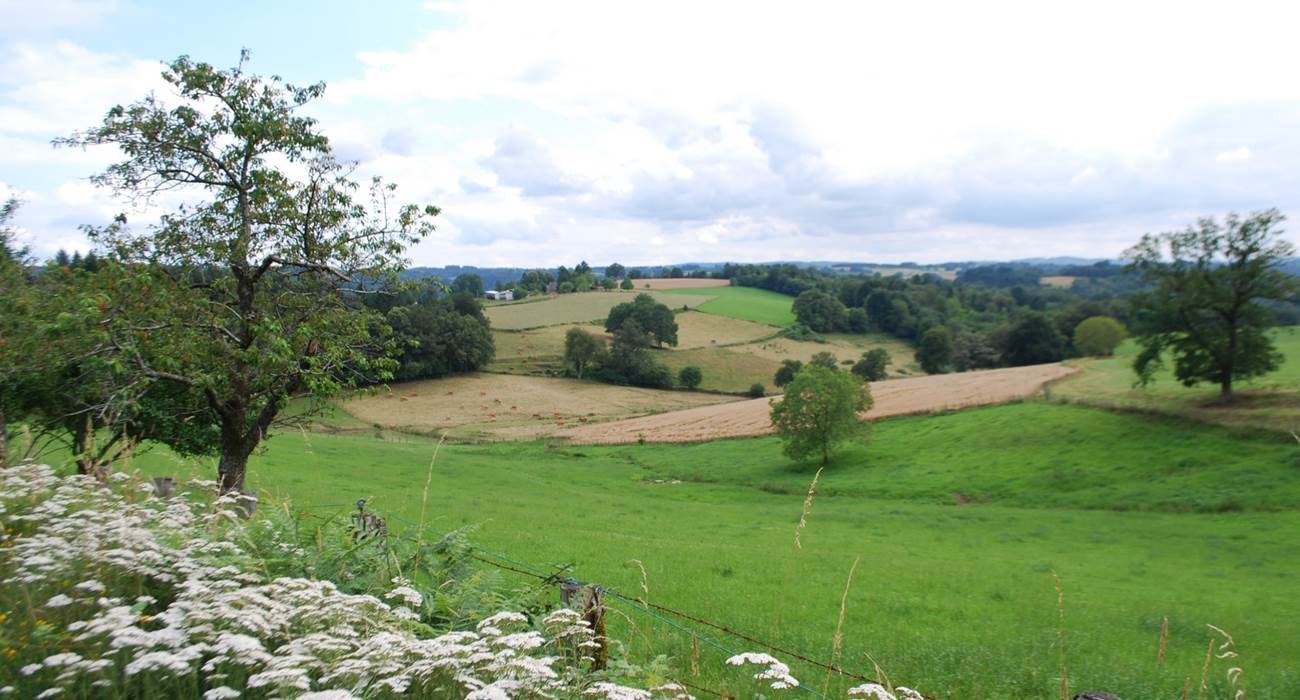 paysages prés bosquets bois  la D14 entre Eymoutiers et Bujaleuf-page