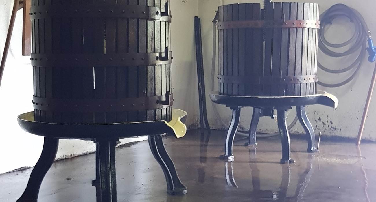 Sans titre