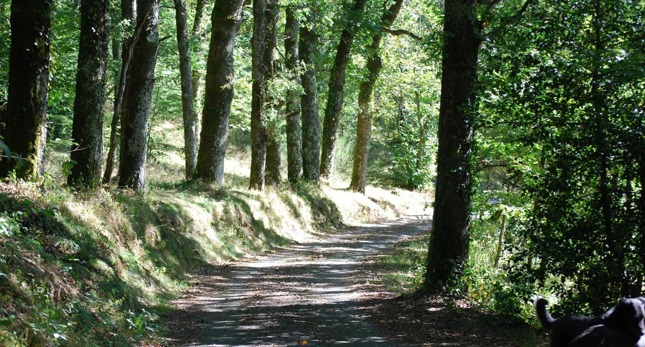 partons en balade sur le chemin des Fantaisies au ranch des Lacs-page