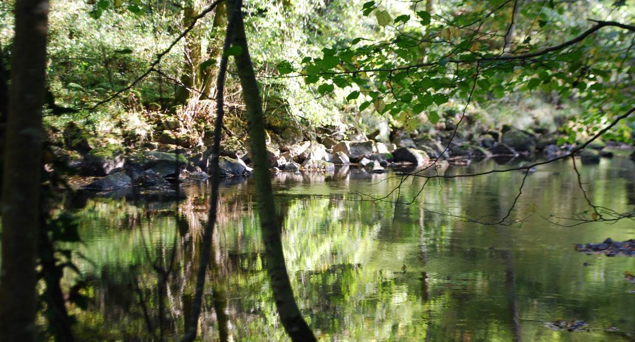 la Vienne à La Lérisse  20' à pied du Ranch des Lacs Hébergement Parc Naturel régional de Millevaches-page